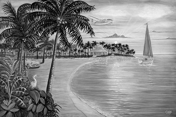 Tropic Cove Black & White Art: By Artist Mark Watts