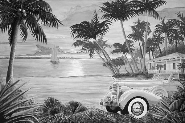 Tropical Getaway Black & White Art: By Artist Mark Watts